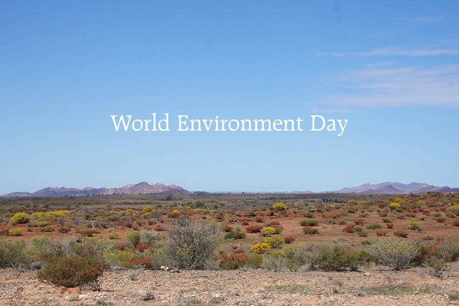 World Environment Day