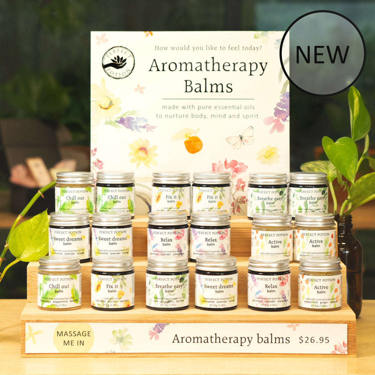 Aromatherapy Balm Business Display Bundle