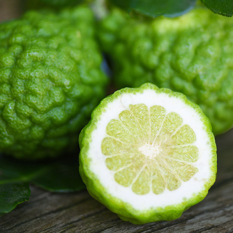 Bergamot