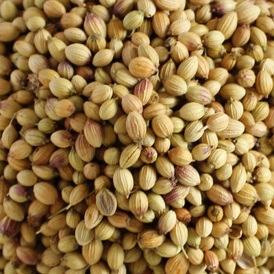 Coriander Seed