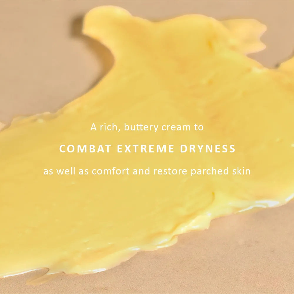 Ancient Healers Repair Cream