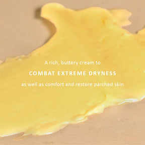Ancient Healers Repair Cream
