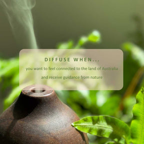 Australian Journey Blend Bundle