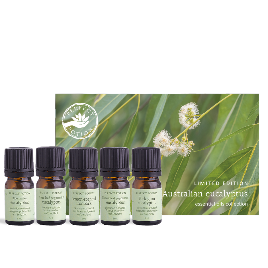 Australian Eucalyptus Essential Oils Collection