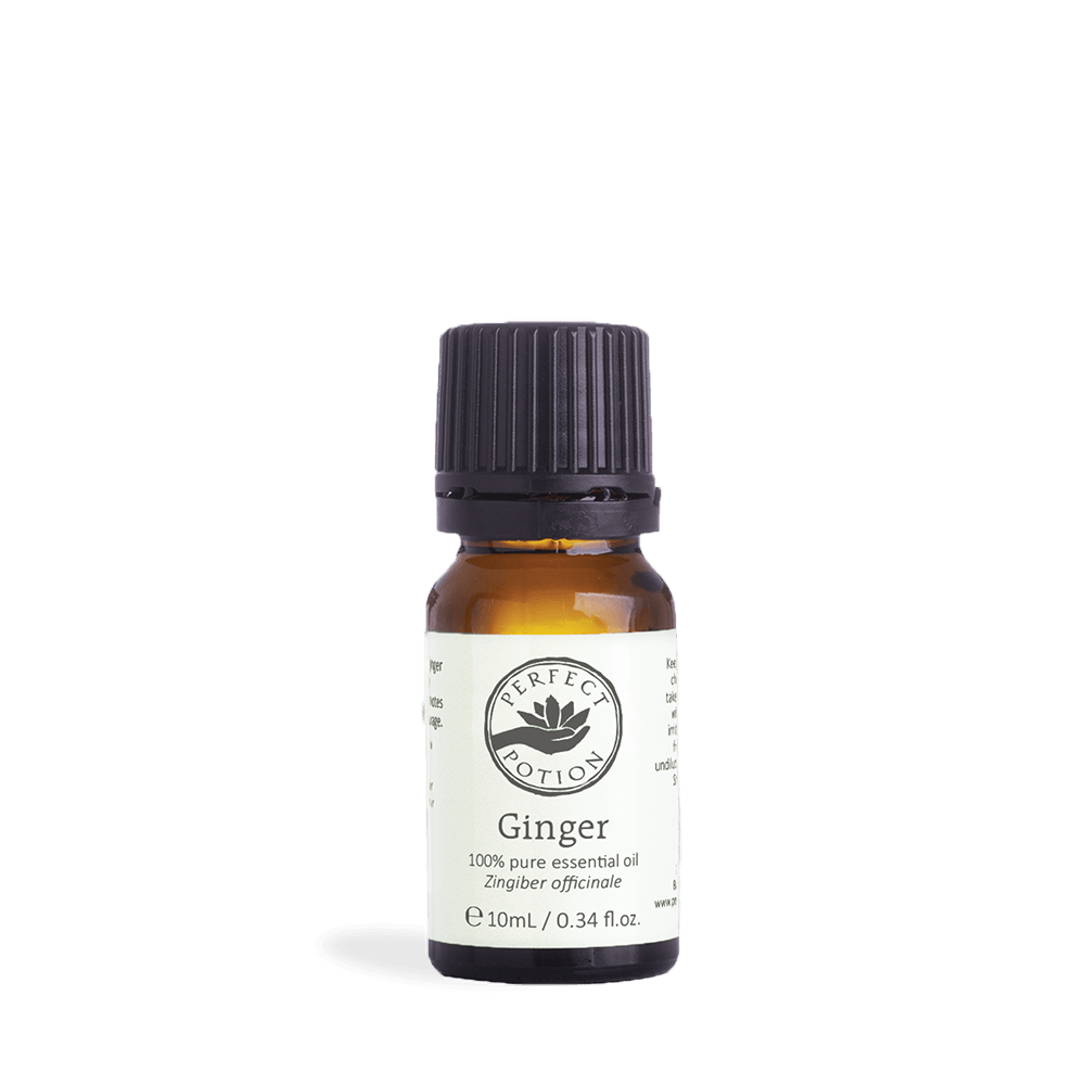 Ginger Pure Essential Oil