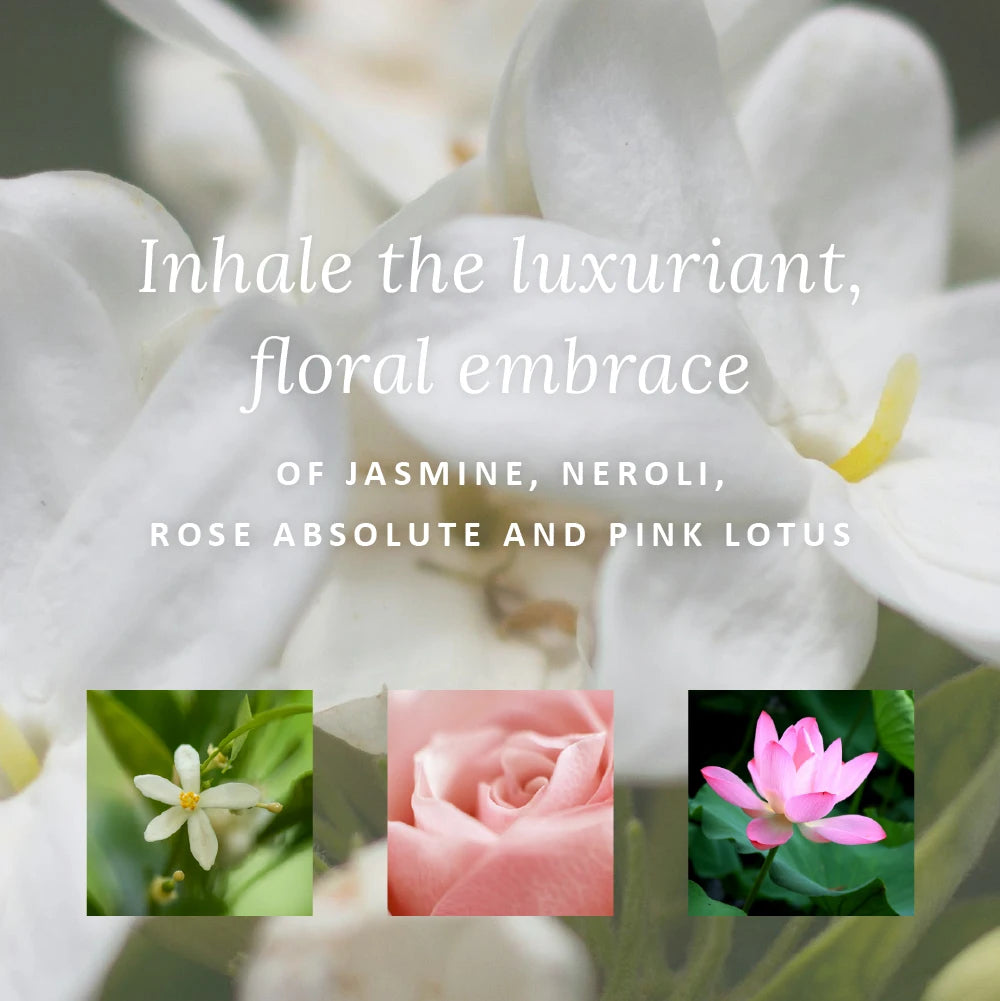 Green Goddess Signature Scent Gift Set