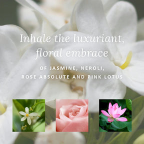 Green Goddess Signature Scent Gift Set