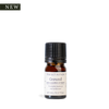 Ground Pure Essential Oil Blend