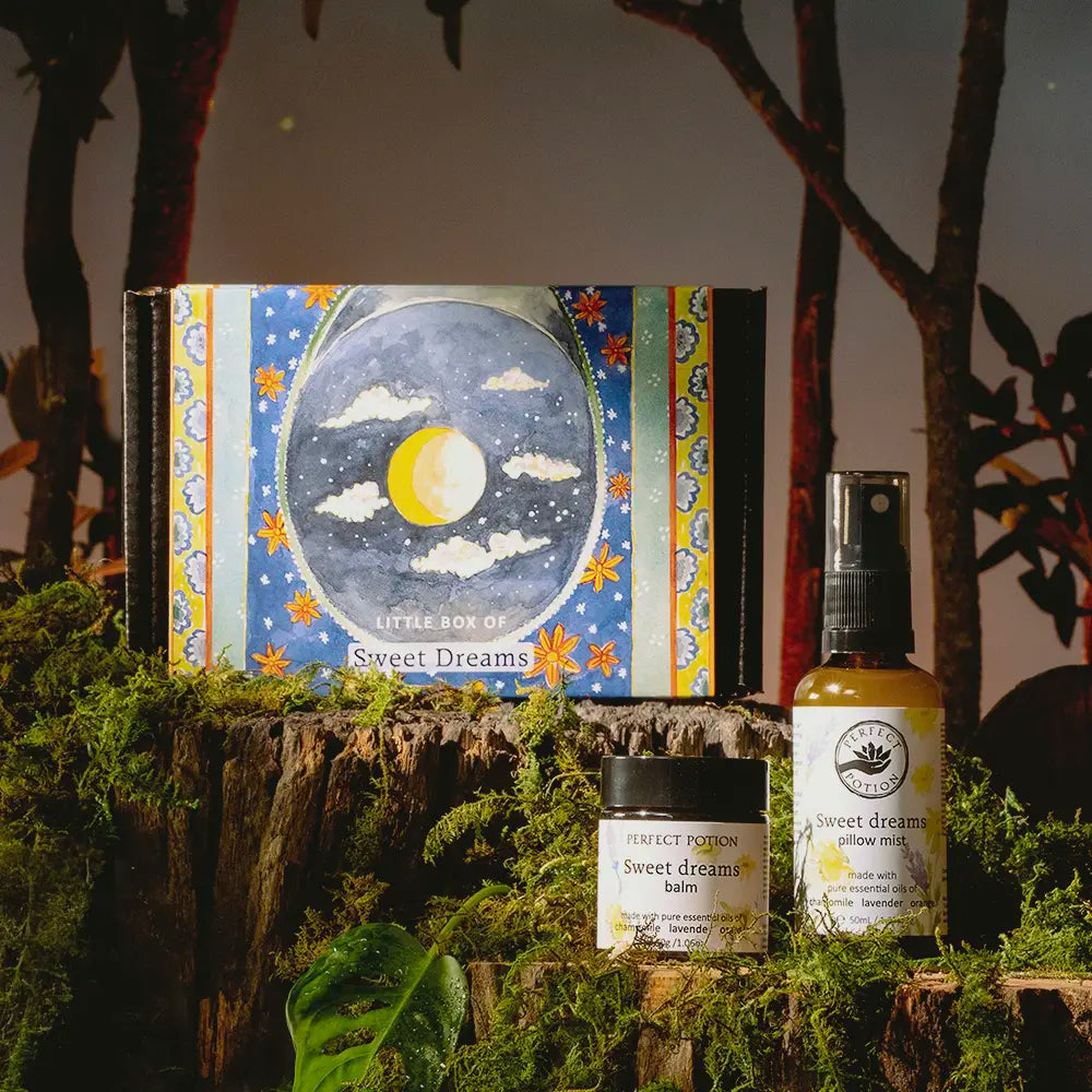 Little Box of Sweet Dreams