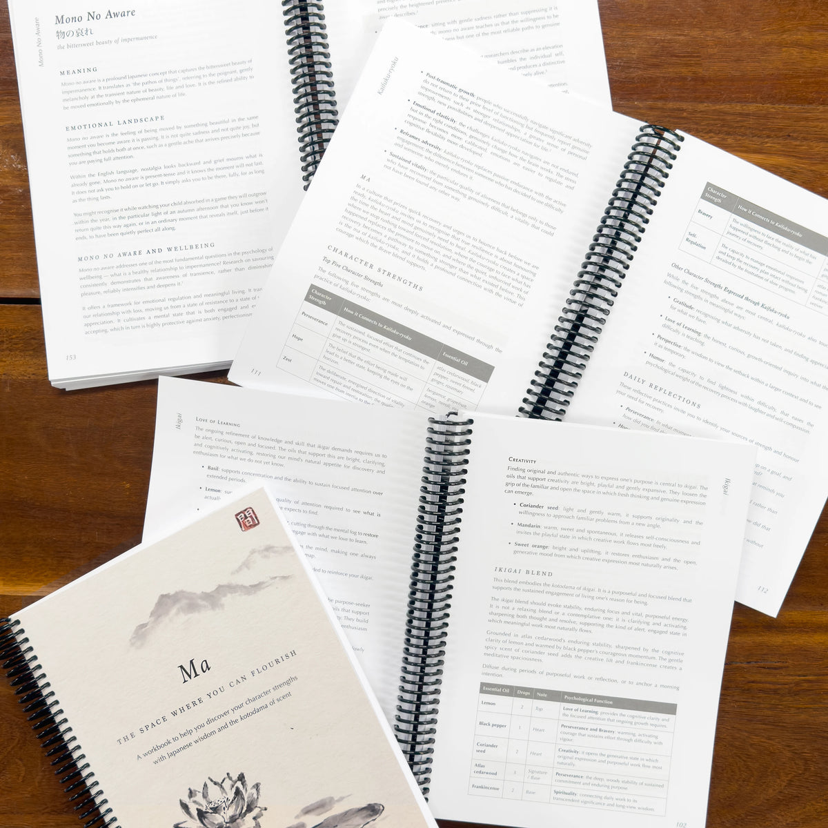 Ma: The Space Where You Can Flourish Workbook