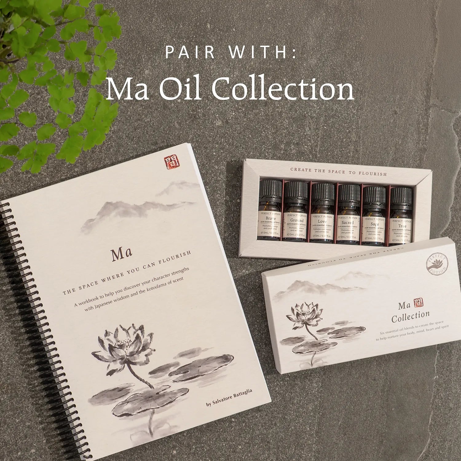 Ma: The Space Where You Can Flourish Workbook