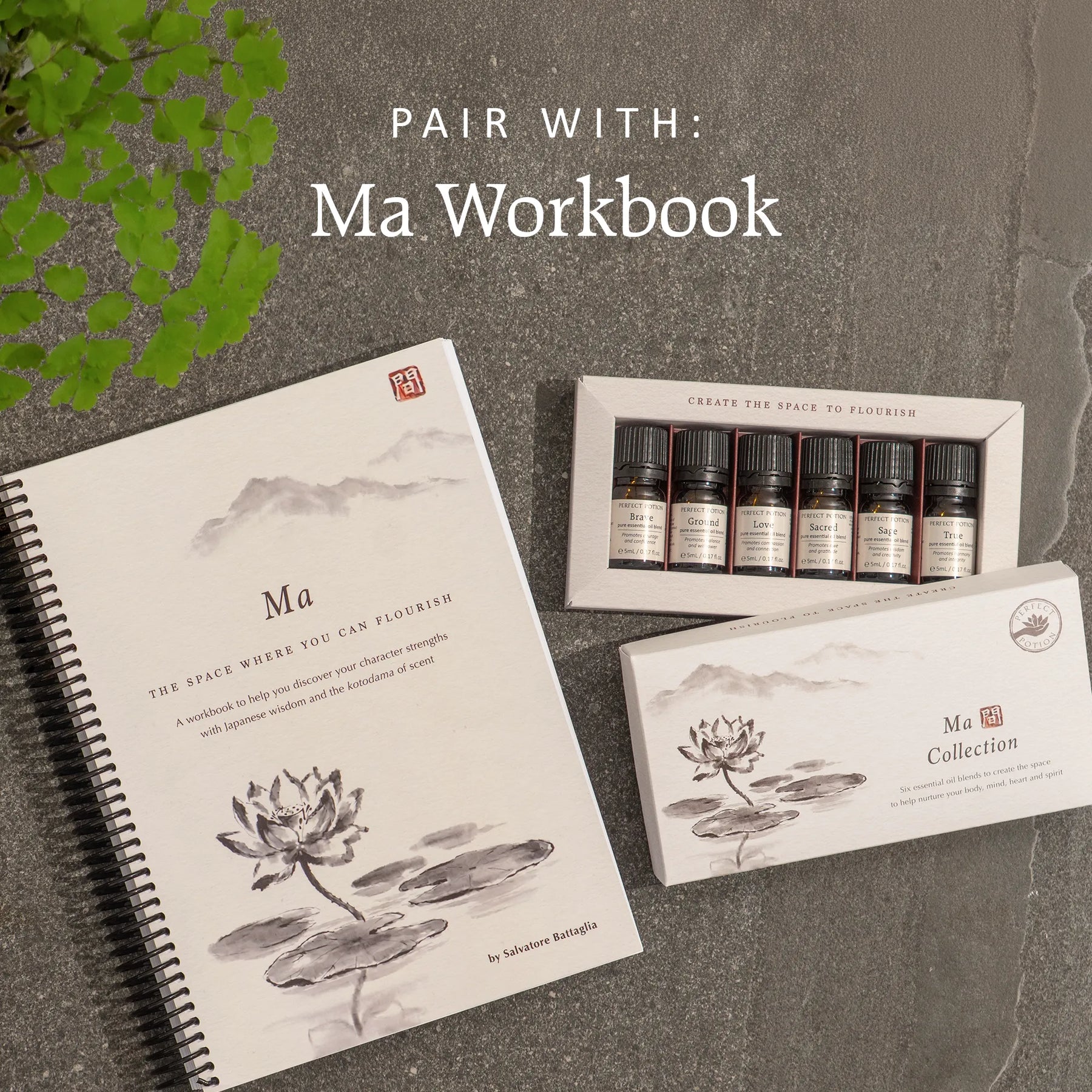 Ma Essential Oil Collection