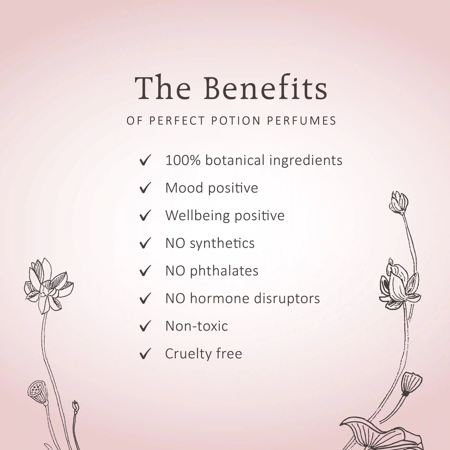 Natural Perfume Discovery Set