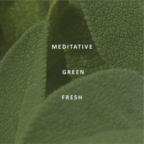 Sage Pure Essential Oil Blend