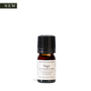 Sage Pure Essential Oil Blend