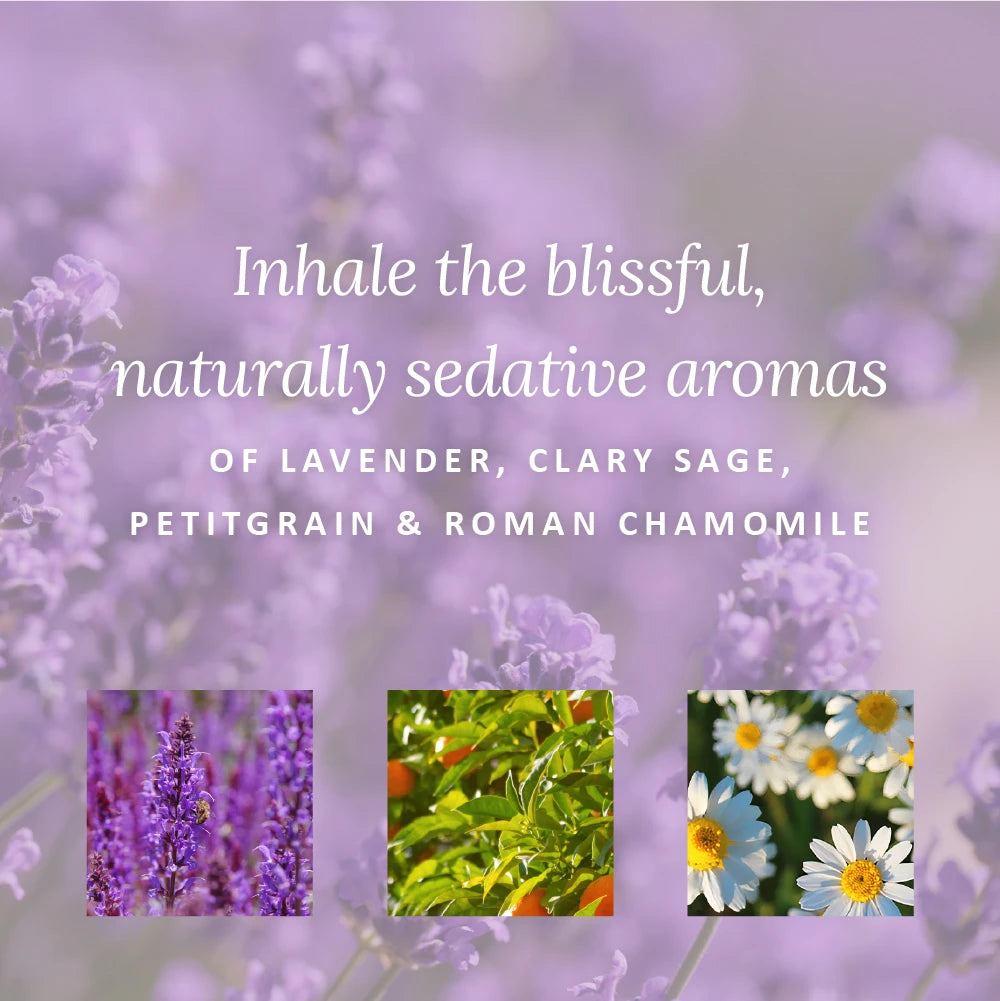 Little Box of Sweet Dreams