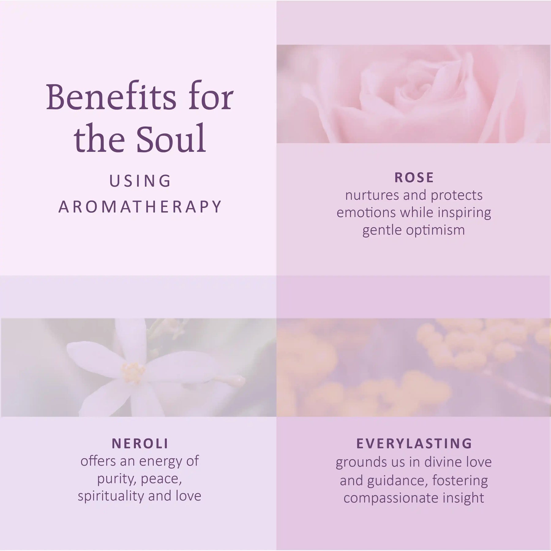 Sacred Lotus Intensive Hydration Serum