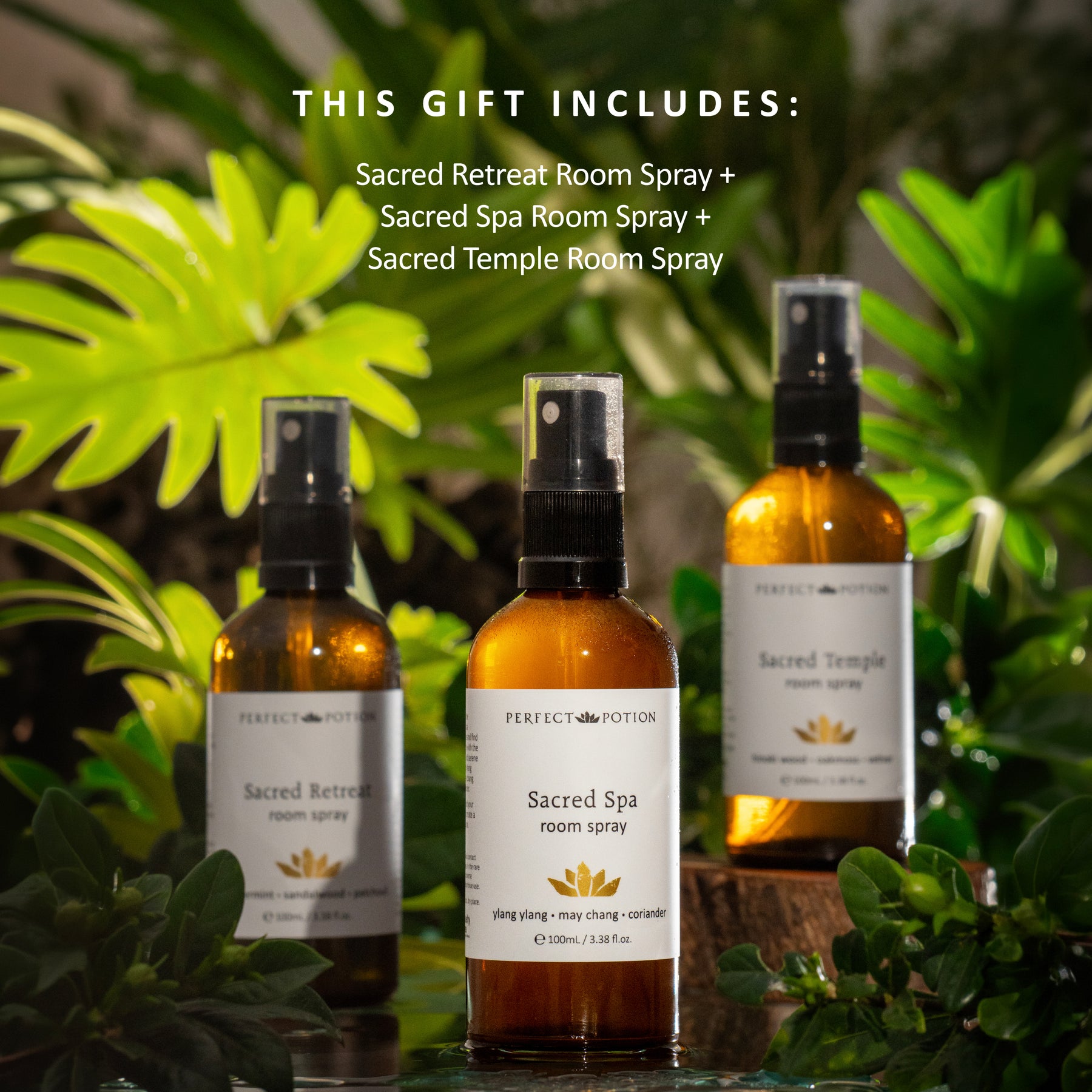 Sacred Room Spray Gift Trio