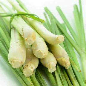 Lemongrass Pure Essential Oil